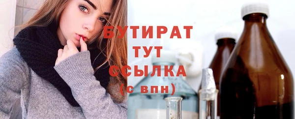 молекула духа Вяземский