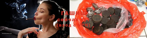 молекула духа Вяземский