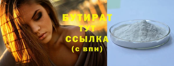 молекула духа Вяземский