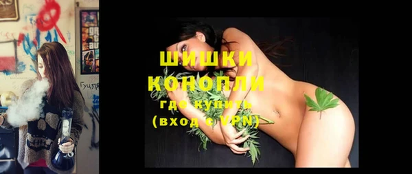 молекула духа Вяземский