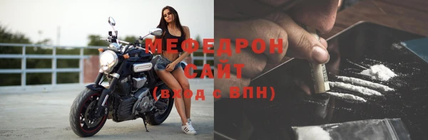 молекула духа Вяземский