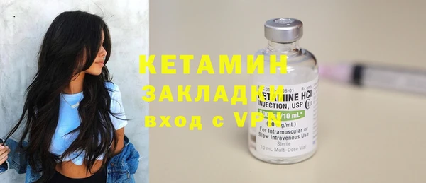 молекула духа Вяземский