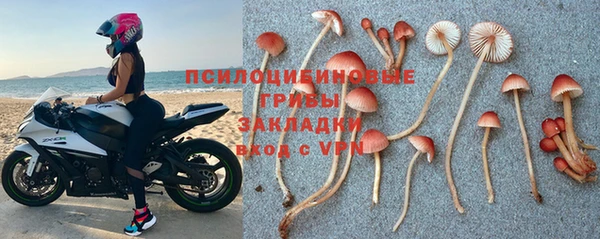 молекула духа Вяземский