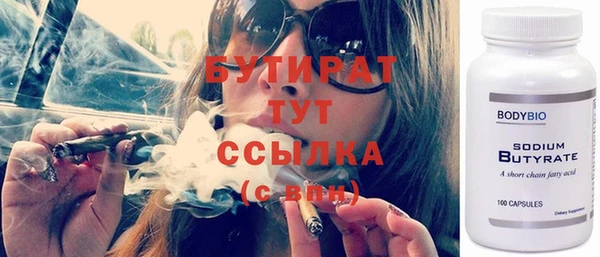молекула духа Вяземский