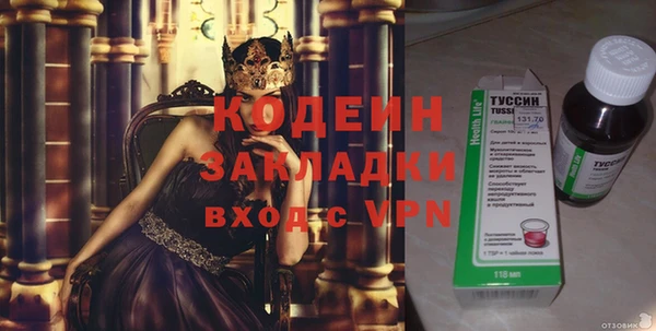 молекула духа Вяземский