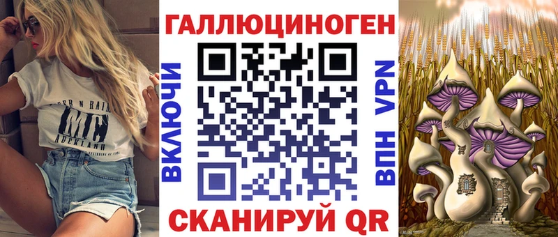 Псилоцибиновые грибы Psilocybine cubensis Зеленокумск